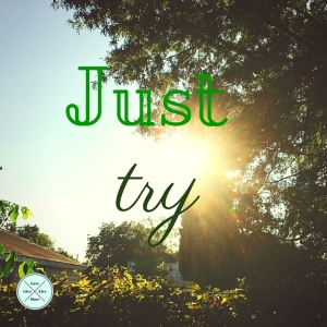Just Try. #give #love #live #more #givelovelivemore #blog #bloggers #bloggies