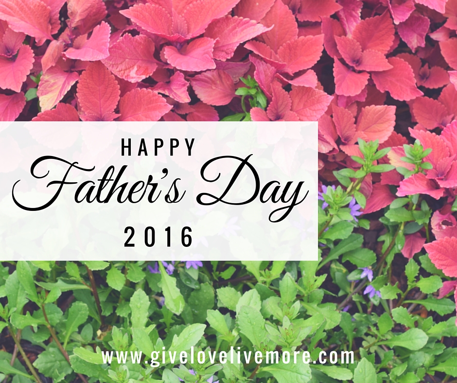 Happy Father's Day 2016 #HappyFathersDay #HFD #GiveLoveLiveMore #Blog #flowers #Pink #purple